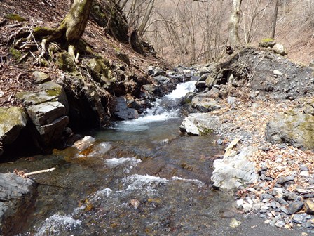 DSCN1161.jpg