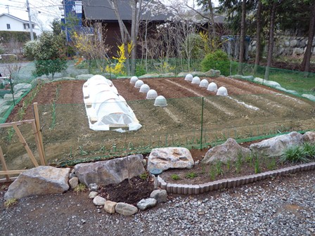 DSCN1175.jpg