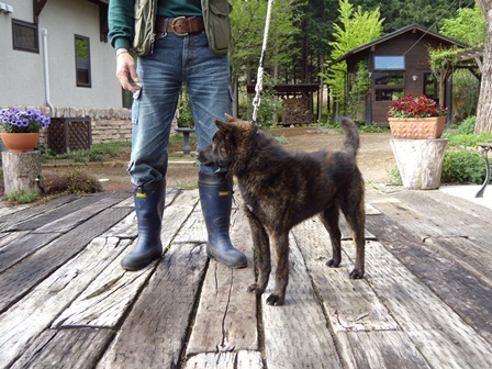 DSCN1183.jpg
