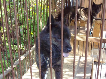 DSCN1225.jpg