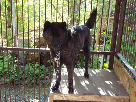 DSCN1227.jpg