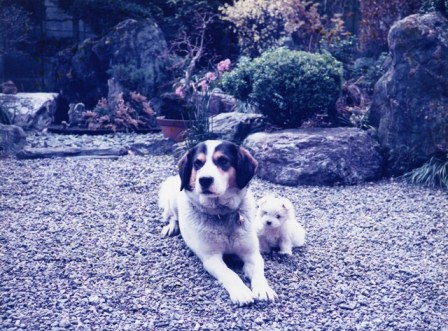 img004.jpg
