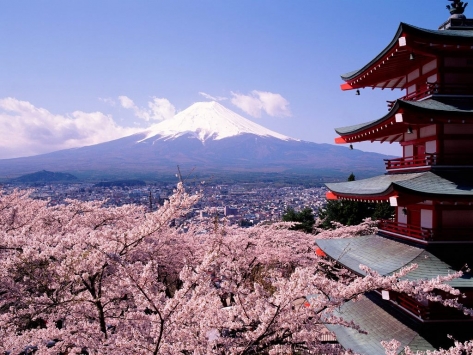 fuji-japan-cherry-blossoms.jpg