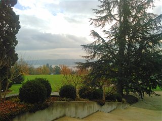 Geneva