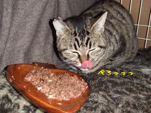 ボンちゃん猫缶
