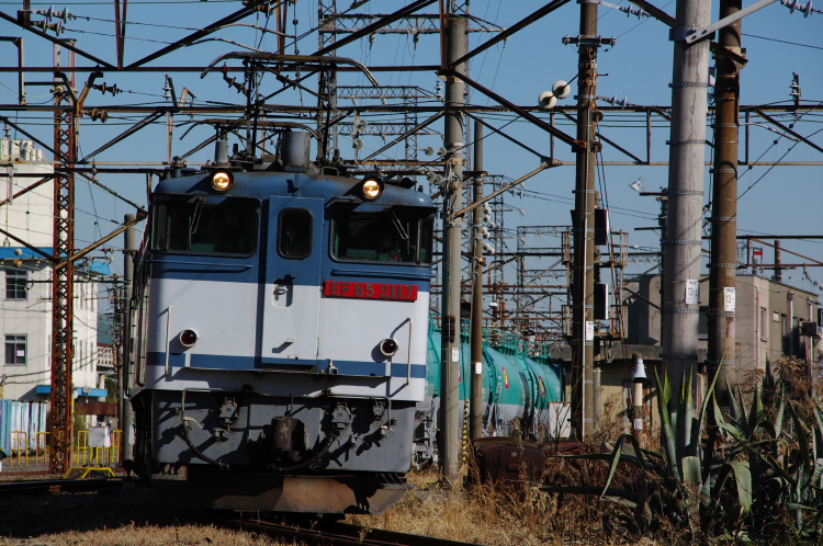 2013年01月28日 ヒガハス 米タン 018