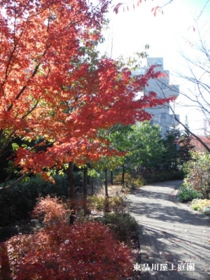 DSCF2093.jpg