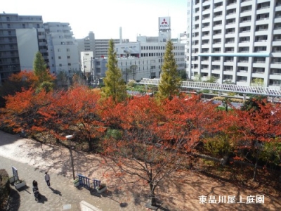 DSCF2096.jpg