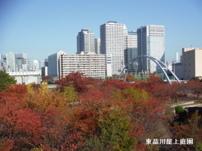 DSCF2098.jpg