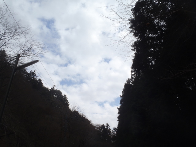 おせちとたかお 049