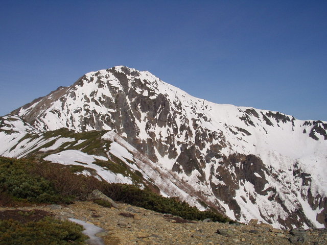 南アルプス-北岳(夜叉神・池山吊尾根)H16・5・1~5・3③ 022