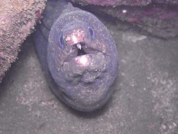 M0013105.jpg