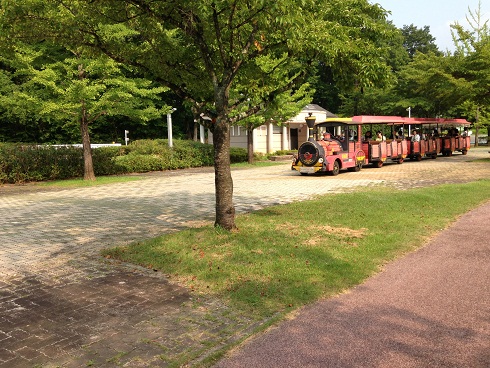 秩父ミューズ9