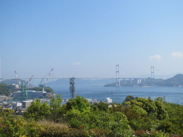 IMG_0337.jpg