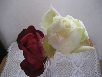s-IMG_1130