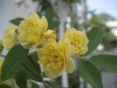 s-IMG_1723