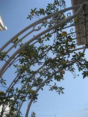 s-IMG_1727