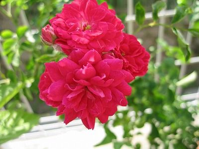 s-IMG_0118
