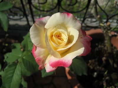s-IMG_2928