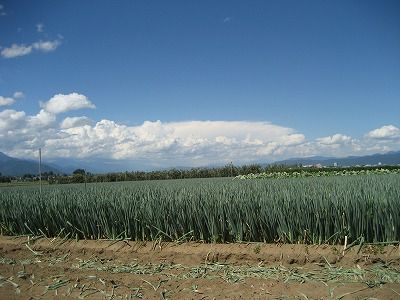 s-IMG_3204
