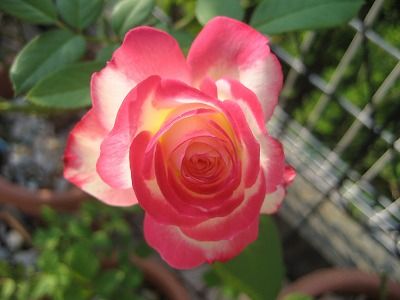 s-IMG_3493