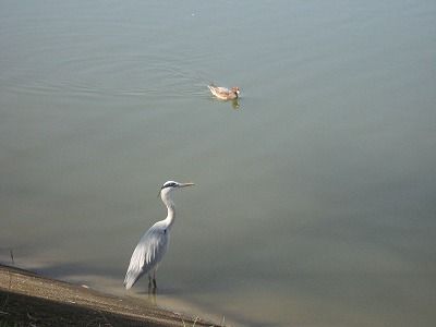 s-IMG_4605