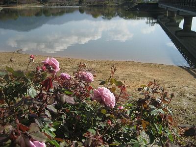s-IMG_4607