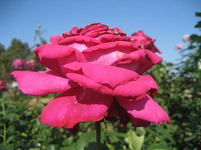 s-IMG_4593
