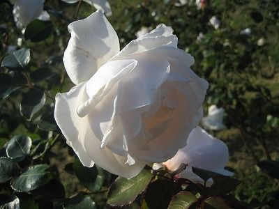 s-IMG_4639