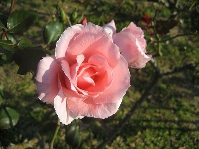 s-IMG_4643