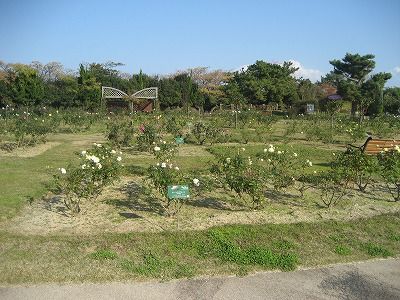 s-IMG_4634