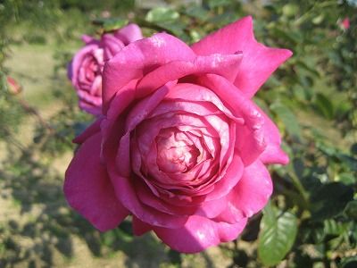 s-IMG_4651