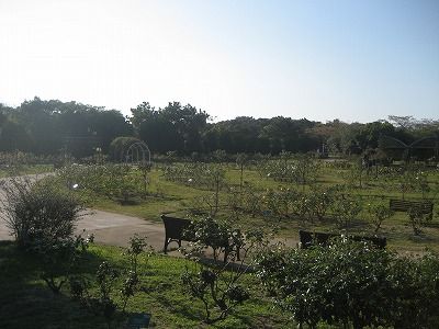 s-IMG_4656
