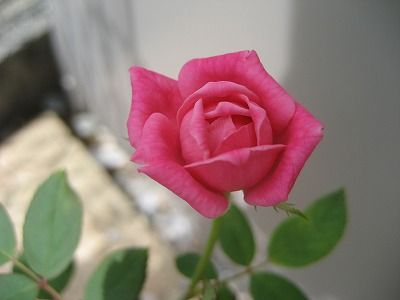 s-IMG_3002