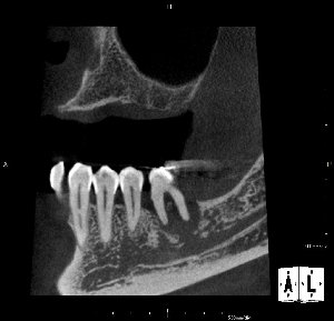 CT_20111020183123b.jpg