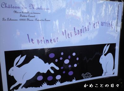 CA391901-vin.jpg