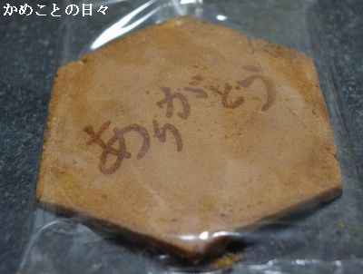 DSC_0134-kawa.jpg