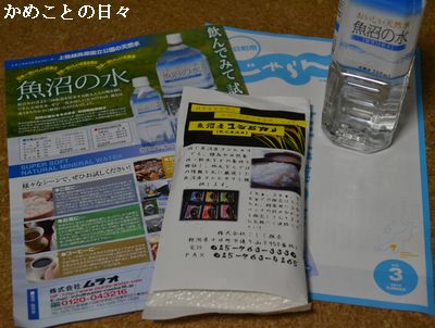 DSC_0273-tou.jpg
