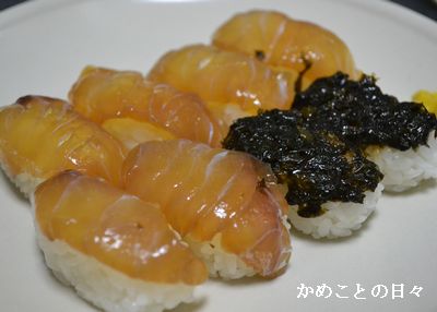 DSC_0322-shima.jpg
