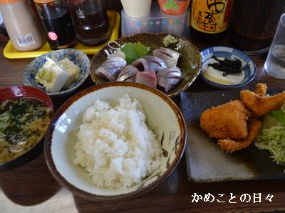 DSC_0608-sa.jpg