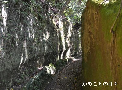 DSC_0616-no.jpg