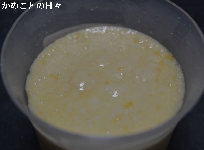 DSC_0861-pu.jpg