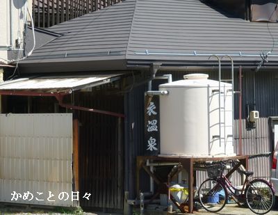 P1140200-koro.jpg