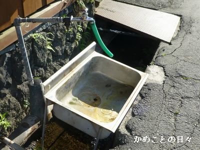 P1140242-on.jpg