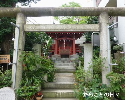 P1140298-kame.jpg