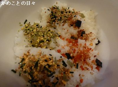 P1140366-na.jpg