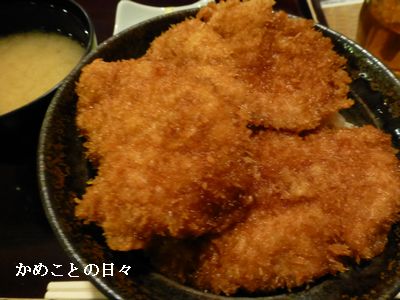 P1140424-katu.jpg