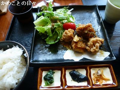 P1140566-to.jpg