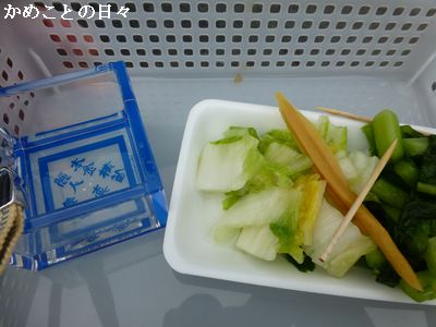 P1140690-5.jpg