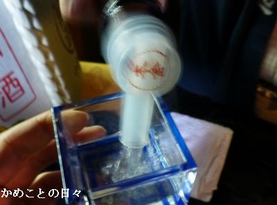 P1140704-6.jpg